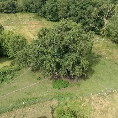 Casa de Férias Le Chene Saint-Front-de-Pradoux