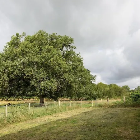 Le Chene Tatil Evi *