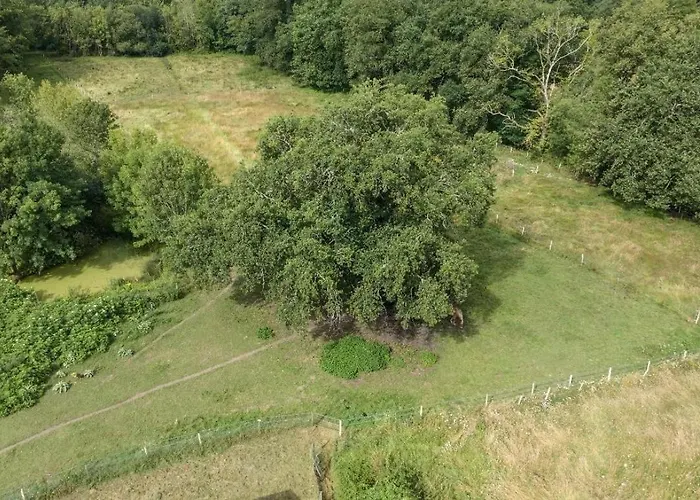 Le Chene * Saint-Front-de-Pradoux